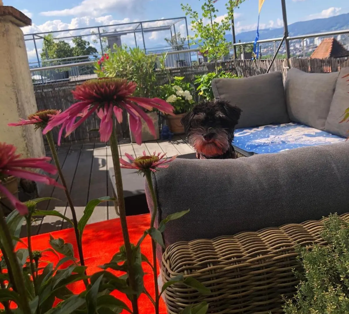 Designer Apartment With Rooftop Zurich